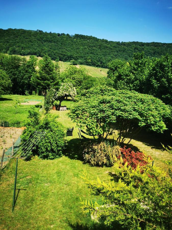 Nevy-Sur-Seille Au Bord De Seilleヴィラ エクステリア 写真